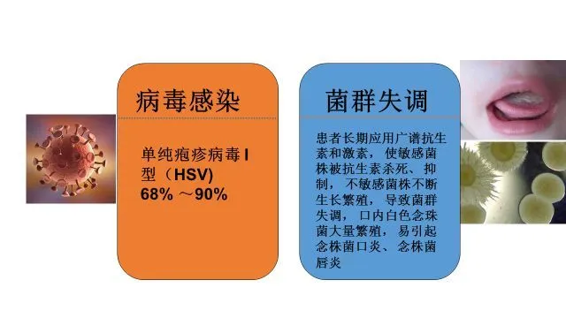 外阴炎为什么久治不愈_外阴炎为什么久治不愈_外阴炎为什么久治不愈