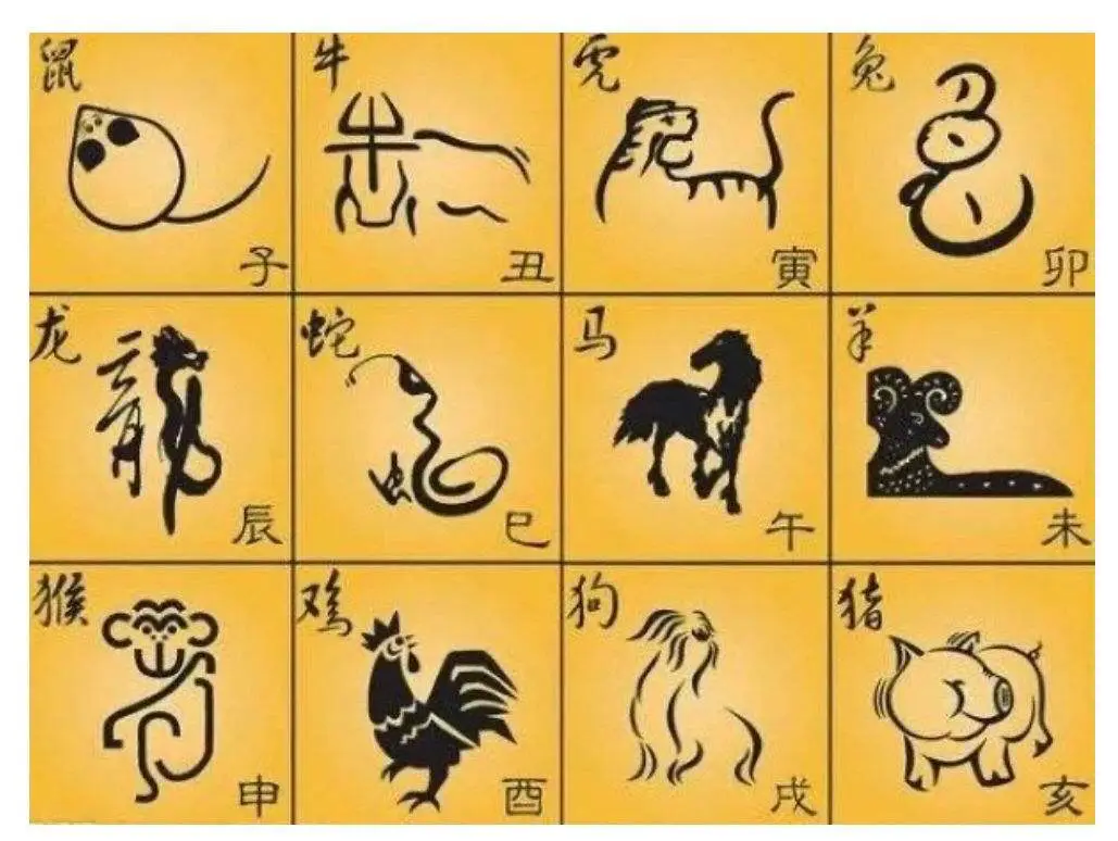杨阳洋猜生肖-猜生肖高手揭秘：绝妙分析，多年积累，如何准确猜中？
