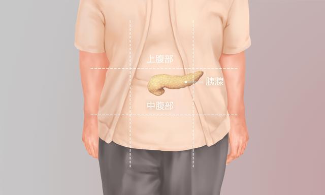 rake接收机的工作原理_接收机原理框图_接收机基本原理
