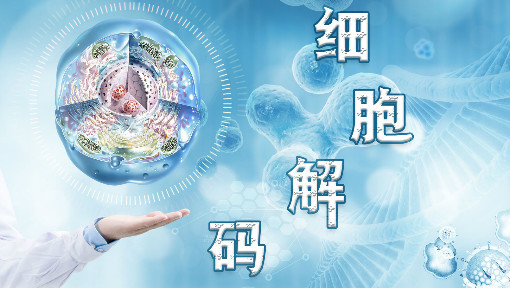 sms_sms生物_生物smo是什么