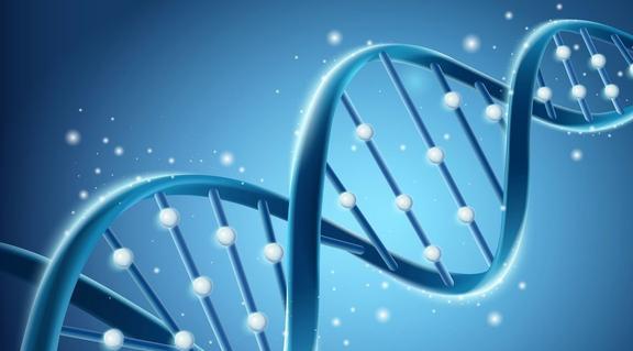 生物smo是什么_sms生物_sms