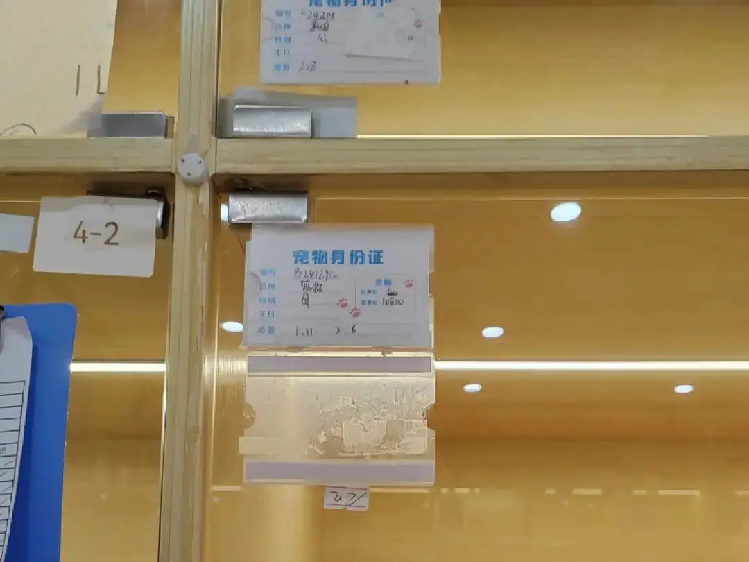 imtoken钱包地址无效是什-imToken钱包地址无效？三大原因让你瞬间明白