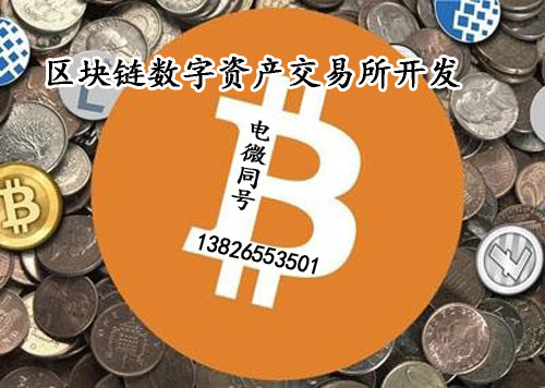 imtoken钱包属于什么钱包_钱包属于什么类目_钱包属于什么类型的物品