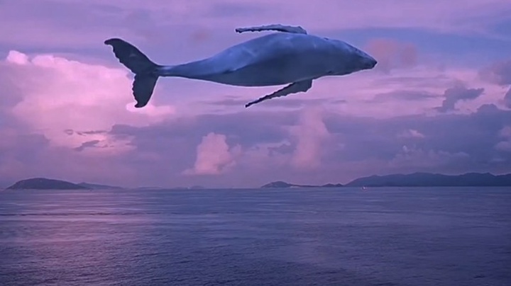油船与货船相撞_dwt油船_清油船