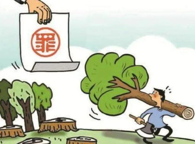 身份证号对应地区_身份证对应的地区_证对应身份地区号怎么填