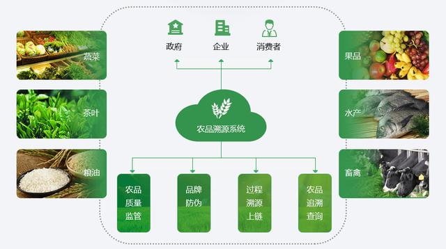 蜂巢链防dns劫持演示_劫持dns什么意思_wifi防劫持