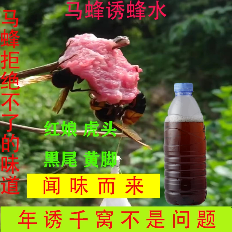 被地雷蜜蜂蛰后头疼怎么办-地雷蜜蜂蛰后头疼，教你轻松解决