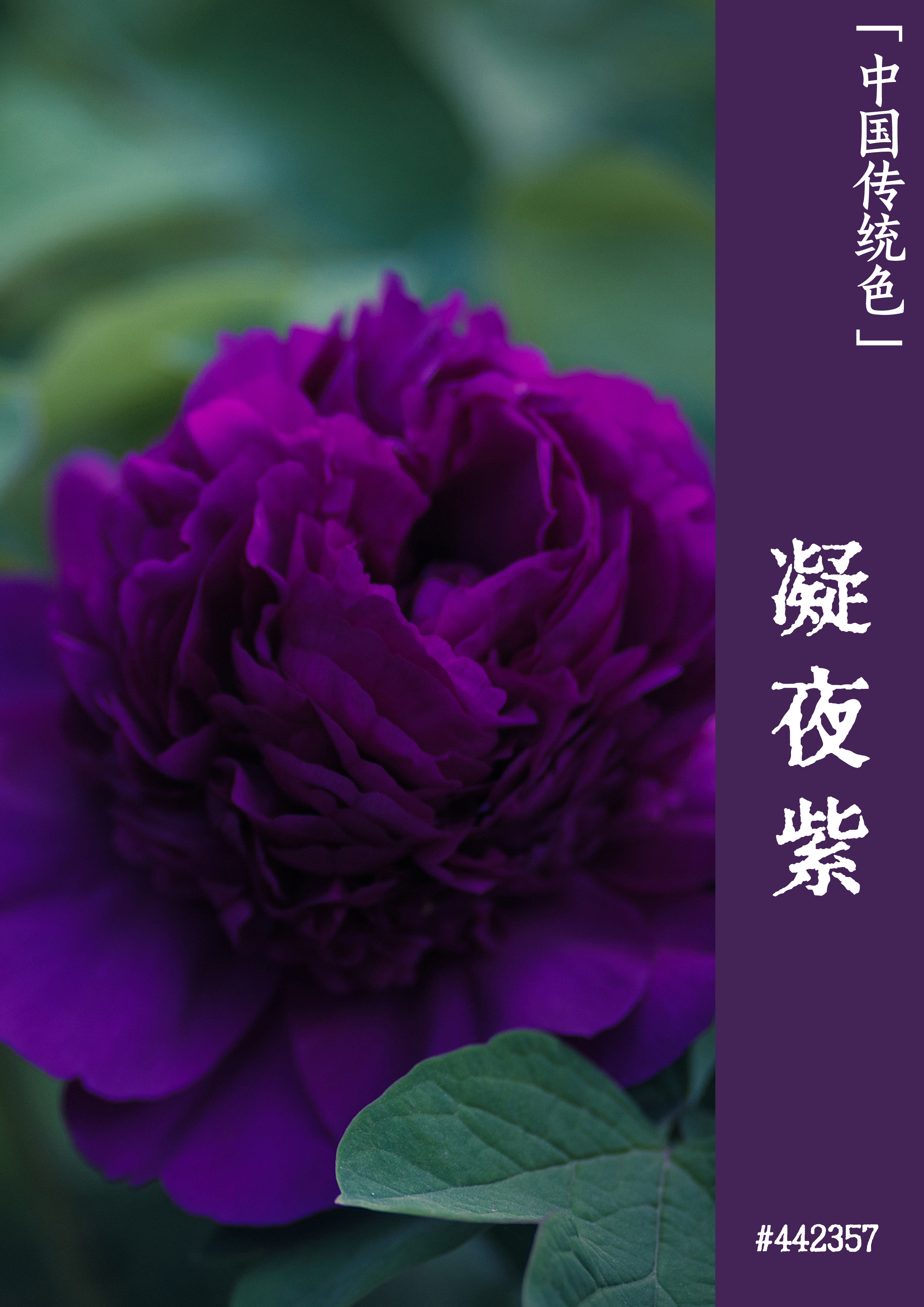 ecshop模板教程_ecshop演示_教程模板开源