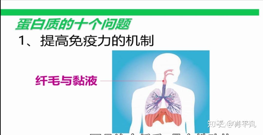 肺泡蛋白沉积症-小心！肺部秘密藏着的杀手，让呼吸成奢侈
