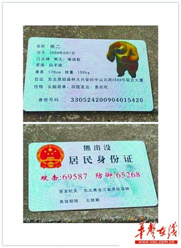能查身份证号码吗-身份证号码背后的神秘：解密查找他人信息的真相