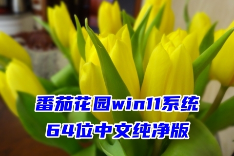 win7永久激活密钥2020_win7永久产品密钥_win7家庭普通版永久激活密钥