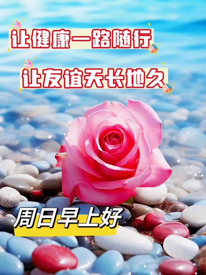 七喜d13_七喜饮料图片_七喜是哪个国家的品牌