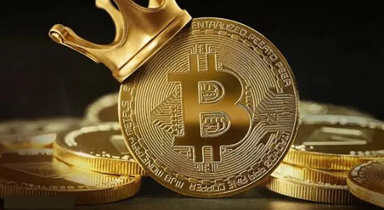 火币网莱特币交易平台手机版_火币比特币手机客户端下载_imtoken支持火币生态链吗