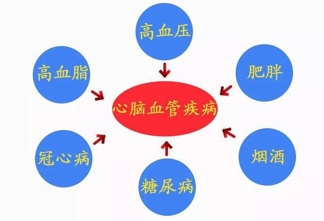 血液症状疾病都有哪些_血液疾病的常见症状_血液疾病症状