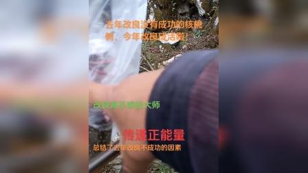 省电大师官网：清新简洁，温暖正能量，节能生活尽在其中