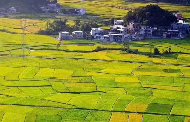 九岸季翔去黑有用吗_九岸_九岸铂汇酒店电话