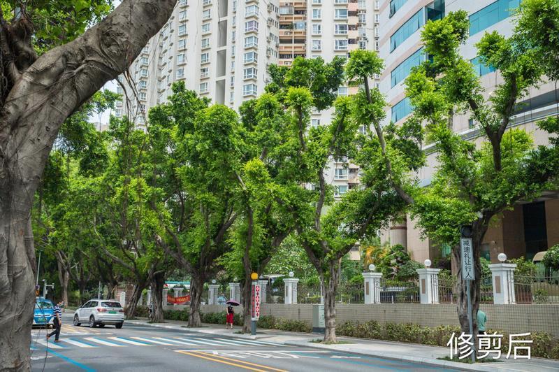 虚拟币钱包收费吗_tp钱包怎么买虚拟币_虚拟币购买