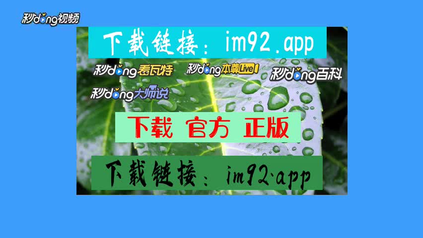 中文设置的英文怎么写_中文设置和英文设置在哪里_imtoken设置中文