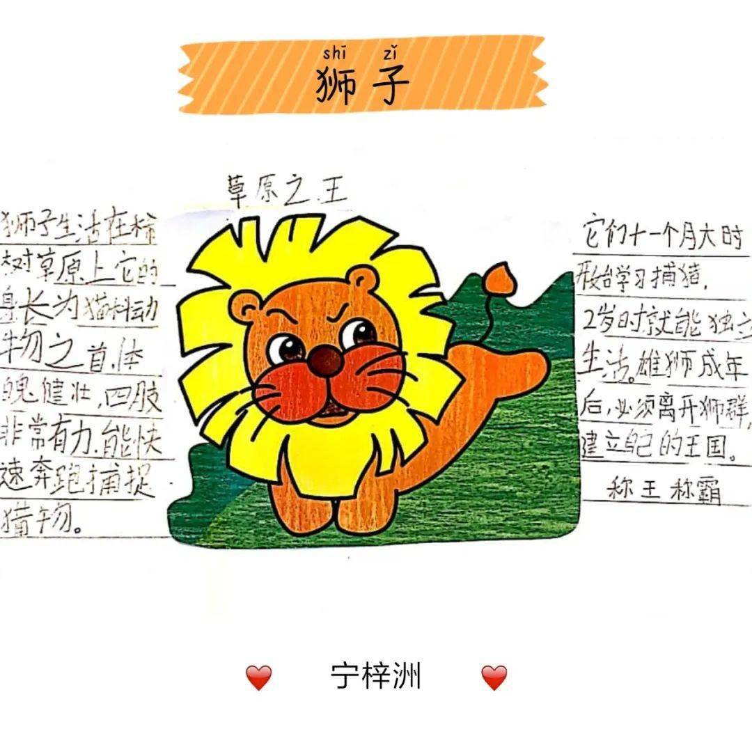 名片搜索_搜索名片模板_搜虎名片