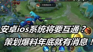 王者荣耀的ios系统和安卓系统,iOS与安卓系统差异解析与游戏体验对比