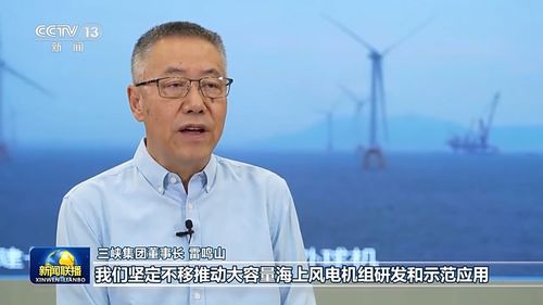 skype演示桌面和演示程序,Skype桌面演示与程序应用全解析
