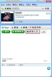 skype显示无法呼叫此号码,Skype无法呼叫问题解析与解决指南
