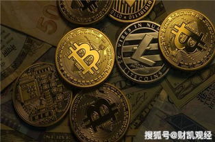 中国虚拟货币钱包排名第几,一窥行业领先者的风采