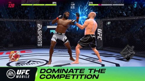 MMA经理2终极格斗最新版 