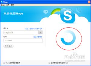 skype文件包是什么,功能解析与使用技巧