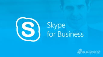 Skype虚拟会议,跨越时空的沟通新篇章