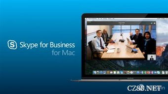 skype无法邀请会话,解决无法邀请会话的难题