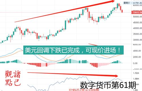 加密货币日线怎么看,洞察市场趋势与投资策略