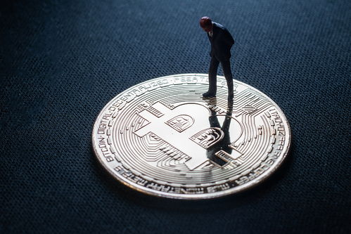 加密货币是不是高投机,高投机属性下的市场波动与未来展望