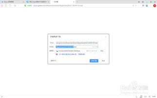 skype下载速度慢,破解Skype下载速度慢的困扰